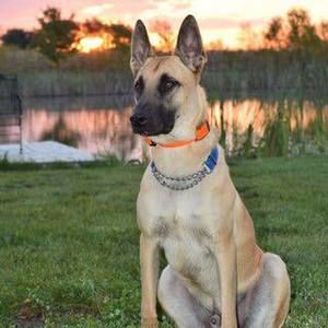 Meet your Posher, Mitchell